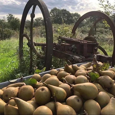 Feriehus 224 Rue St Martin Montbray