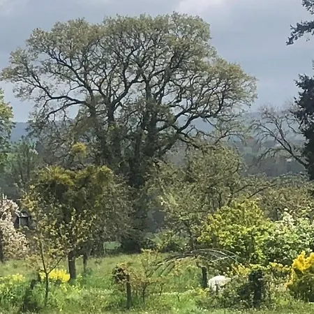 224 Rue St Martin Montbray