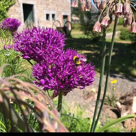 Feriehus 224 Rue St Martin *