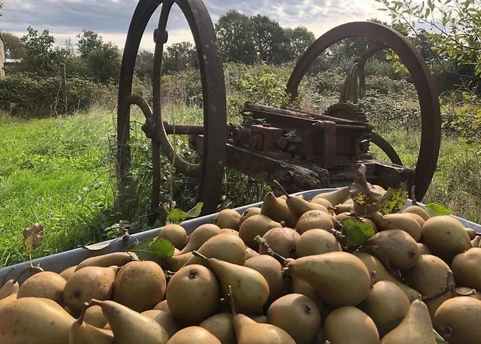 Tatil Evi 224 Rue St Martin Montbray