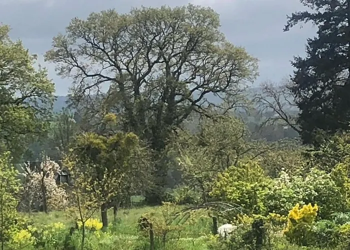 224 Rue St Martin Montbray