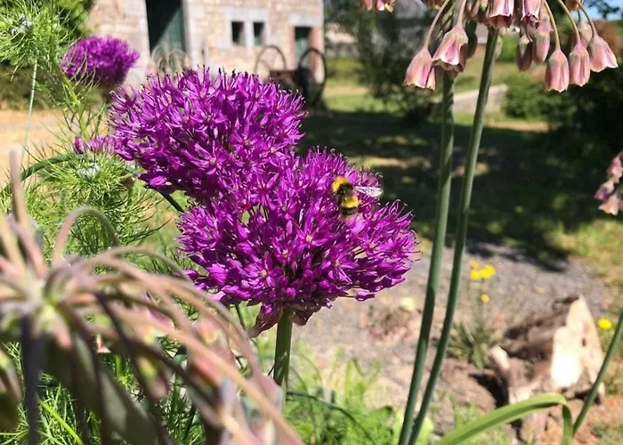 Tatil Evi 224 Rue St Martin *